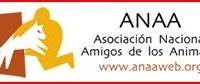 ANAA-www.anaaweb.org_